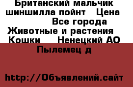 Британский мальчик шиншилла-пойнт › Цена ­ 5 000 - Все города Животные и растения » Кошки   . Ненецкий АО,Пылемец д.